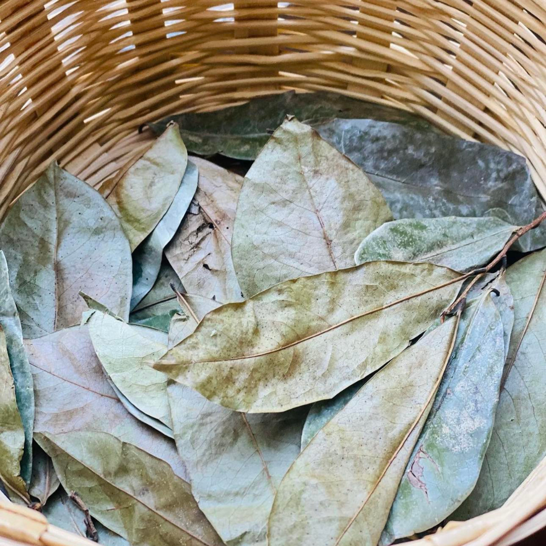 Soursop Leaves