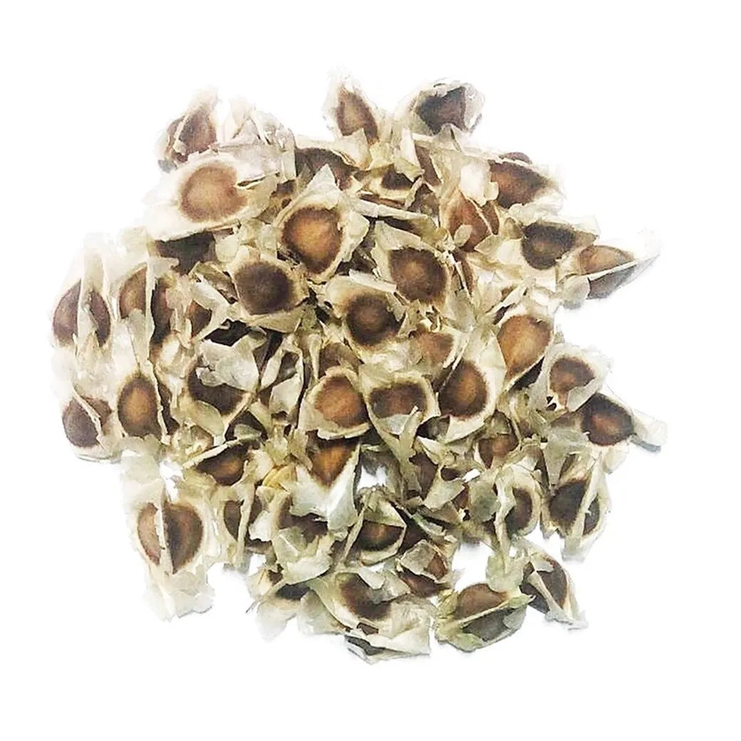 Moringa Seed